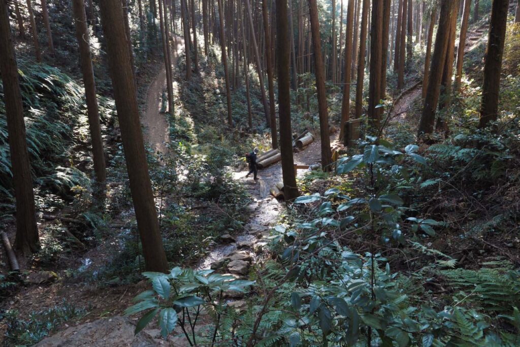 日和田山の登山道