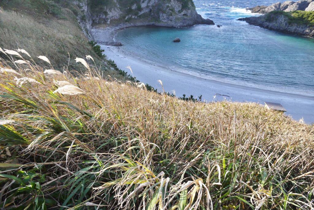 泊海水浴場