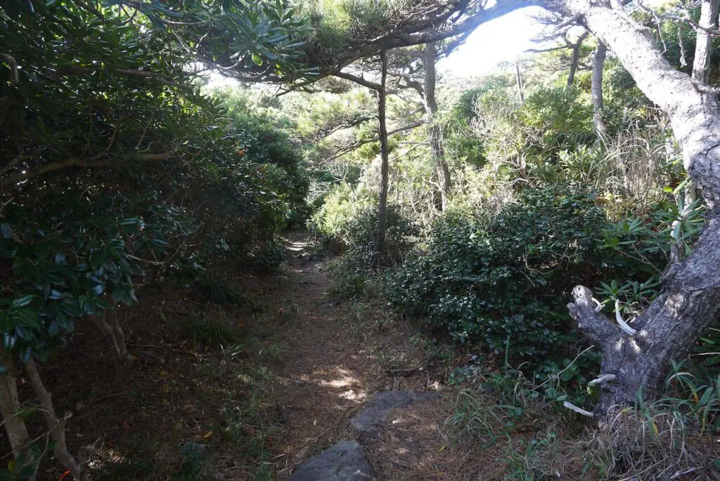 唐人津城遊歩道