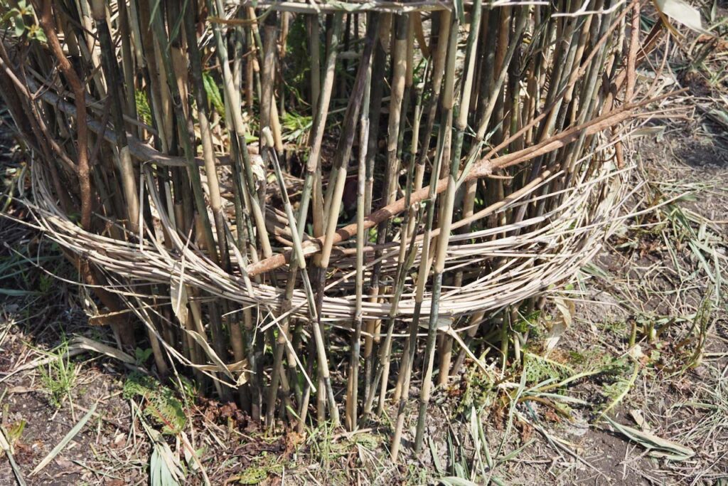 笹を利用した自作コンポスト